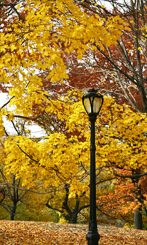lamp post